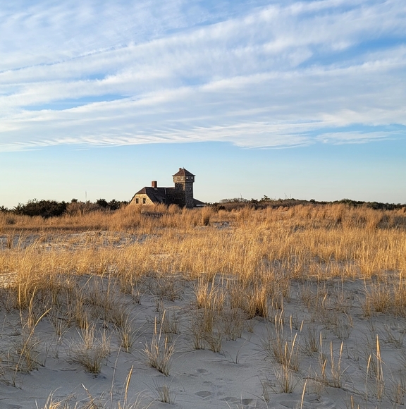 A Welcome to All New Buyers and Grateful Friends - Picture 6 of 17